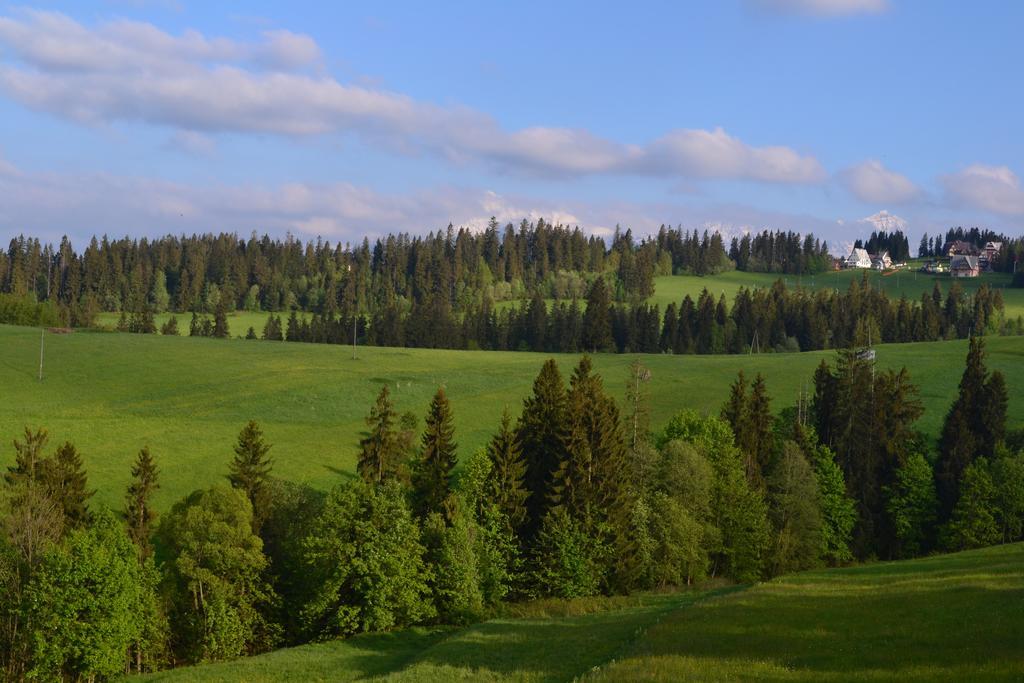 Willa Polana Bukowina Tatrzańska Exterior foto
